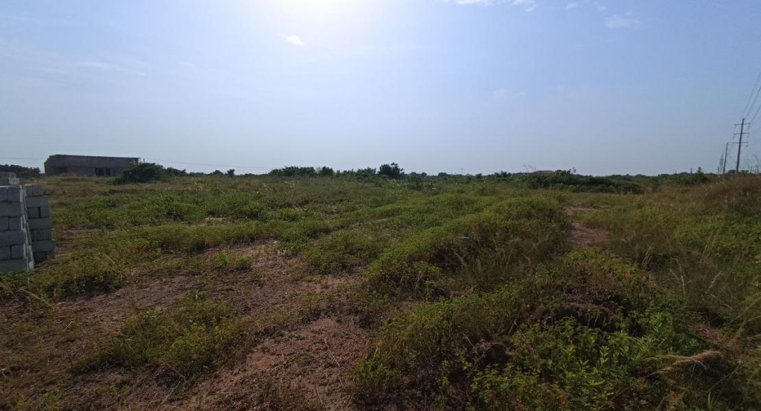 land